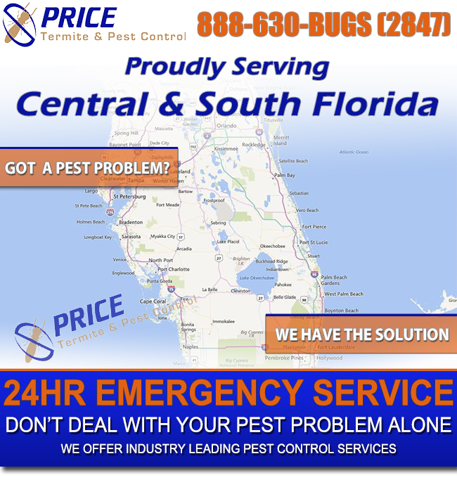 Image for Price Termite & Pest Control with ID of: 1245470