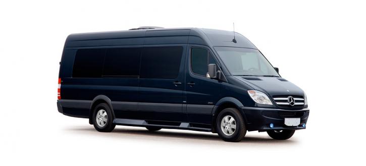 Image for Palm Beach Tours & Transportation with ID of: 1245834