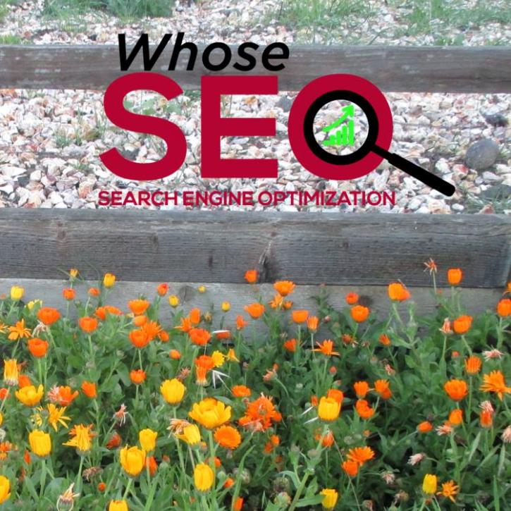 Image for Whose SEO with ID of: 1246194