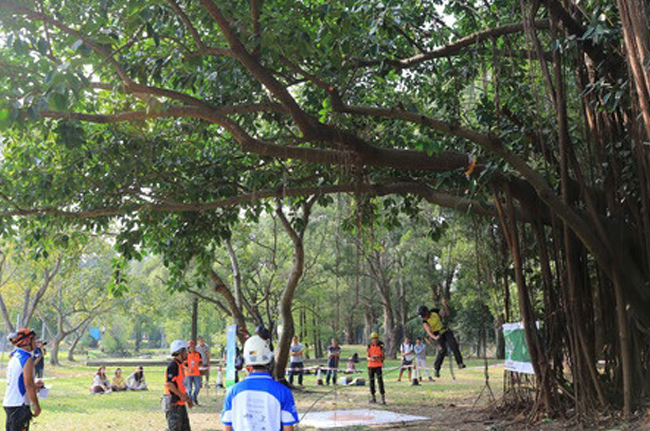 Image for Go Green Tree & Landscape with ID of: 1246502