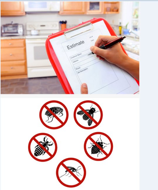 Image for Citra Pest Control with ID of: 1247298