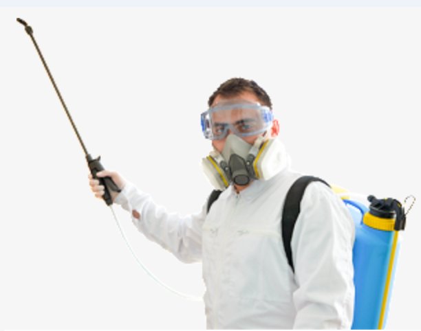 Image for Citra Pest Control with ID of: 1247299