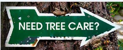 Image for Concord Tree Services with ID of: 1247502
