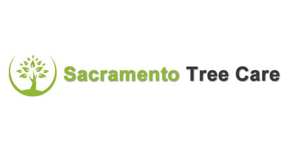 Image for Sacramento Tree Care with ID of: 1247978