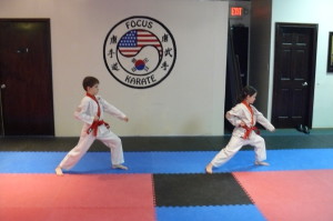 Image for Focus Karate with ID of: 1248303