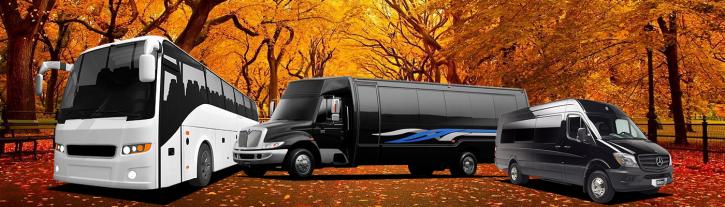 Image for Phoenix Limo Service with ID of: 1249351
