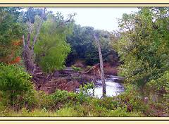 Image for Bevers Real Estate with ID of: 1249932