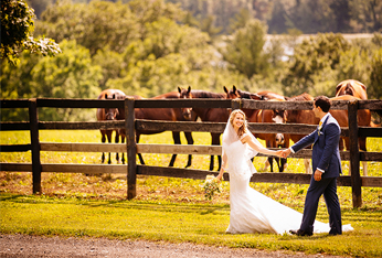 Image for Long Island Weddings, Inc with ID of: 1251722