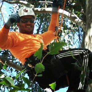 Image for Valley Tree Services with ID of: 1252950