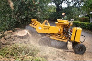 Image for Toledo Tree Service Pros with ID of: 1253917