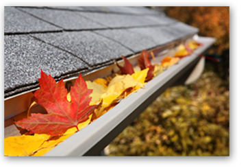 Image for Long Beach Gutter Pros with ID of: 1254282