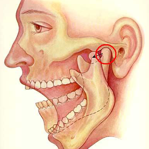 Image for Andrew R. Rahn DDS, PC with ID of: 1254340