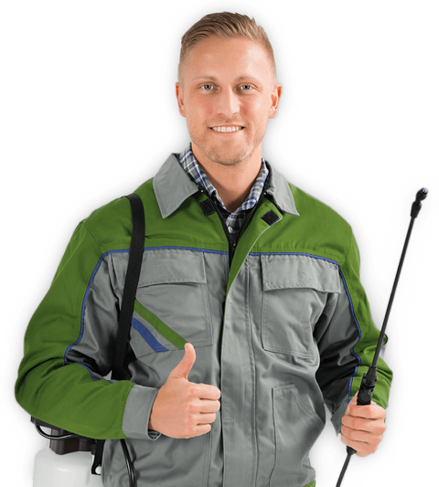 Image for O'Connor Pest Control Bakersfield with ID of: 1256622