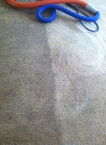 Image for Red River Carpet Cleaning with ID of: 1257716