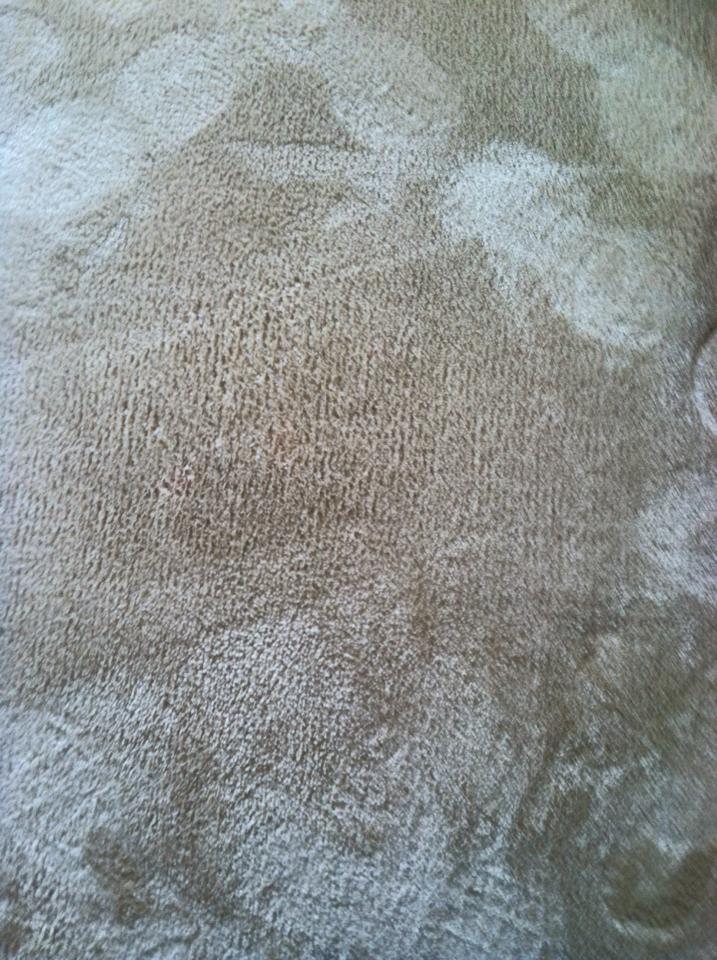 Image for Red River Carpet Cleaning with ID of: 1257717