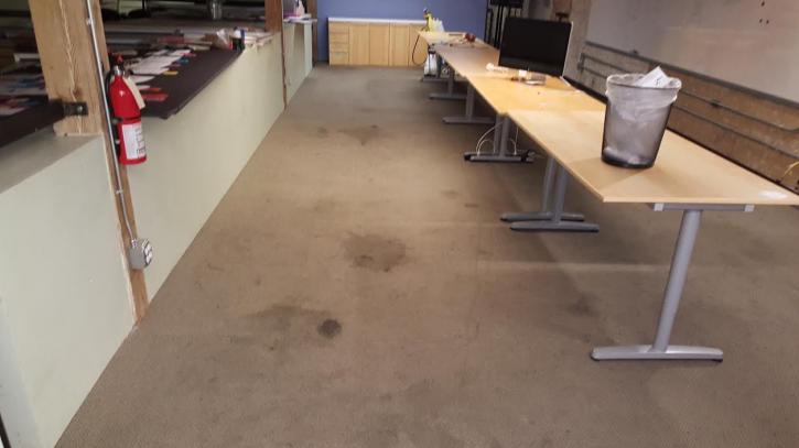 Image for Harper Carpet Care with ID of: 1257929