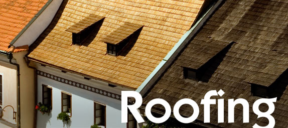 Image for Arlington Roofing Service IL with ID of: 1258011