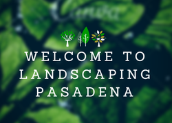 Image for Landscape Design Pasadena with ID of: 1258248