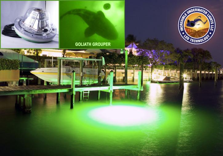 Image for Incredible Underwater Lights, LLC with ID of: 1258380