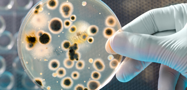 Image for Mold Removal Express with ID of: 1258541
