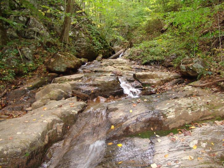 Image for Franklin NC Real Estate * 270 Waterfall Lane-Franklin NC 29734 with ID of: 125921