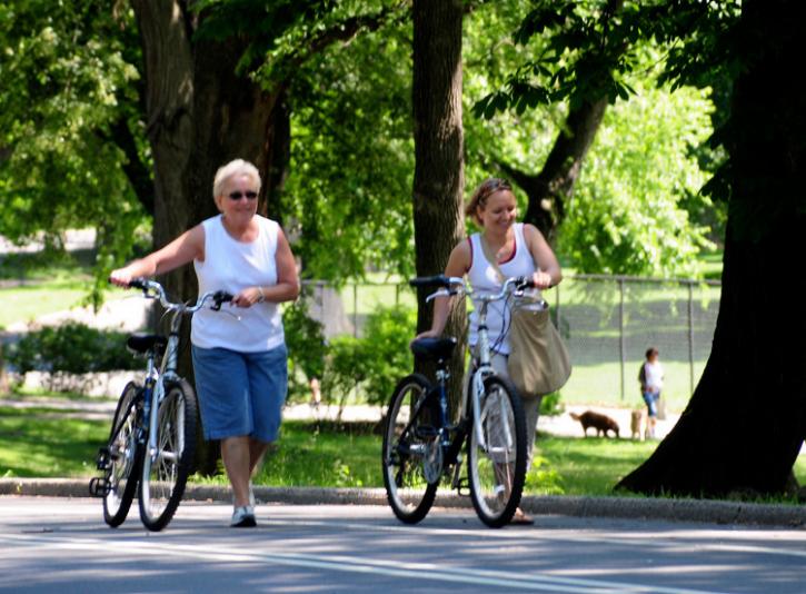 Image for Central Park Tours with ID of: 1259595
