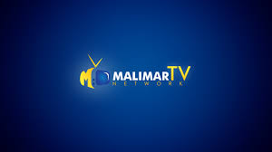Image for Malimar Technology Group, Inc with ID of: 1259695