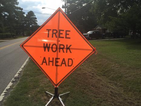 Image for Schnell Tree Service LLC with ID of: 1259835