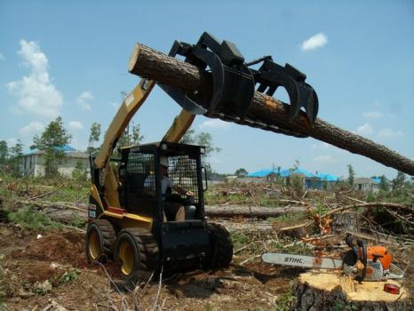 Image for Schnell Tree Service LLC with ID of: 1259836