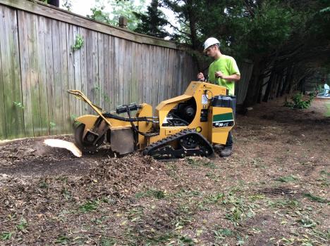Image for Schnell Tree Service LLC with ID of: 1259837