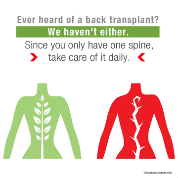 Image for Seattle Chiropractic Center with ID of: 1260491
