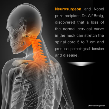 Image for Seattle Chiropractic Center with ID of: 1260493