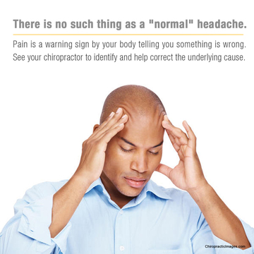 Image for Seattle Chiropractic Center with ID of: 1260498