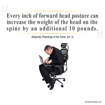 Image for Seattle Chiropractic Center with ID of: 1260505
