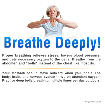 Image for Seattle Chiropractic Center with ID of: 1260515