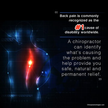Image for Seattle Chiropractic Center with ID of: 1260516