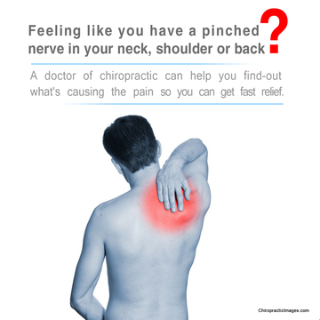 Image for Seattle Chiropractic Center with ID of: 1260517
