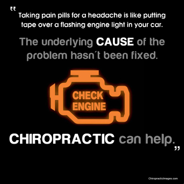 Image for Seattle Chiropractic Center with ID of: 1260519