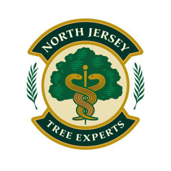 Image for North Jersey Tree Experts with ID of: 1261344
