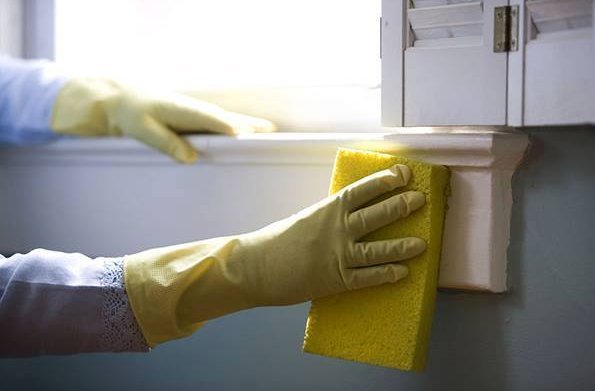 Image for Rain City Maids with ID of: 1262070