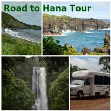 Image for Dynamic Tour Hawaii with ID of: 1263268