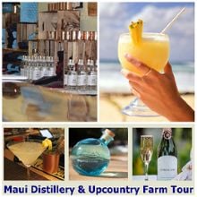 Image for Dynamic Tour Hawaii with ID of: 1263269