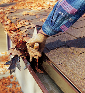 Image for Affordable Gutter Cleaning Service with ID of: 1264943