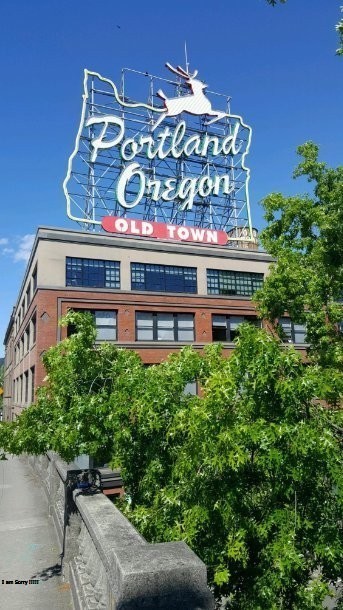 Image for Hillsboro Carpet Cleaning with ID of: 1265520