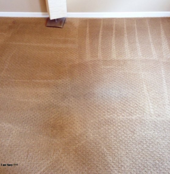 Image for Hillsboro Carpet Cleaning with ID of: 1265521
