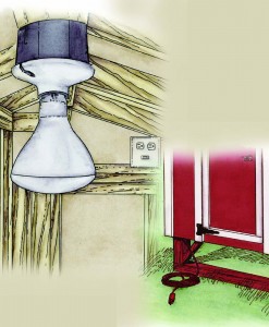 Image for OverEZ Chicken Coop with ID of: 1265718