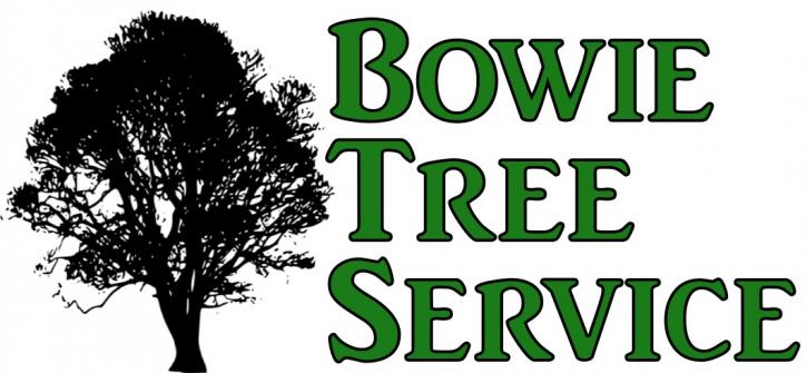 Image for Bowie Tree Service with ID of: 1266029