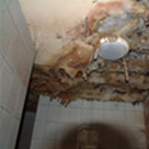 Image for MightyMite Termite Services with ID of: 1266092