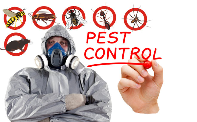 Image for Comerica Pest Control with ID of: 1266493