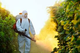 Image for Comerica Pest Control with ID of: 1266502